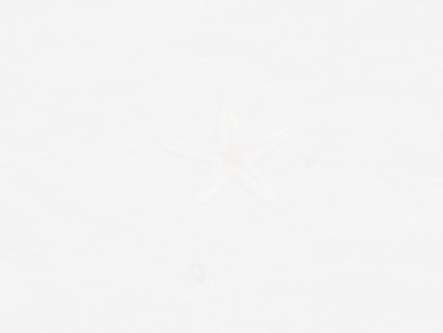 • Halloween Card To Print